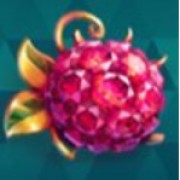Simbolo del lampone in Fruit Spin
