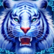 Il simbolo della tigre in La leggenda delle quattro bestie