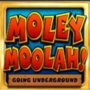 Logo del simbolo a Molly Mullah