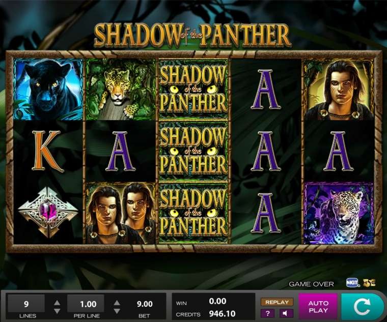 Shadow of the Panther